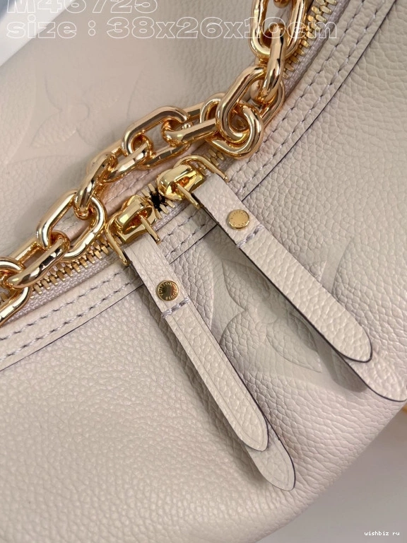 WIS LOOP LOUIS VUITTON HOBO 0820